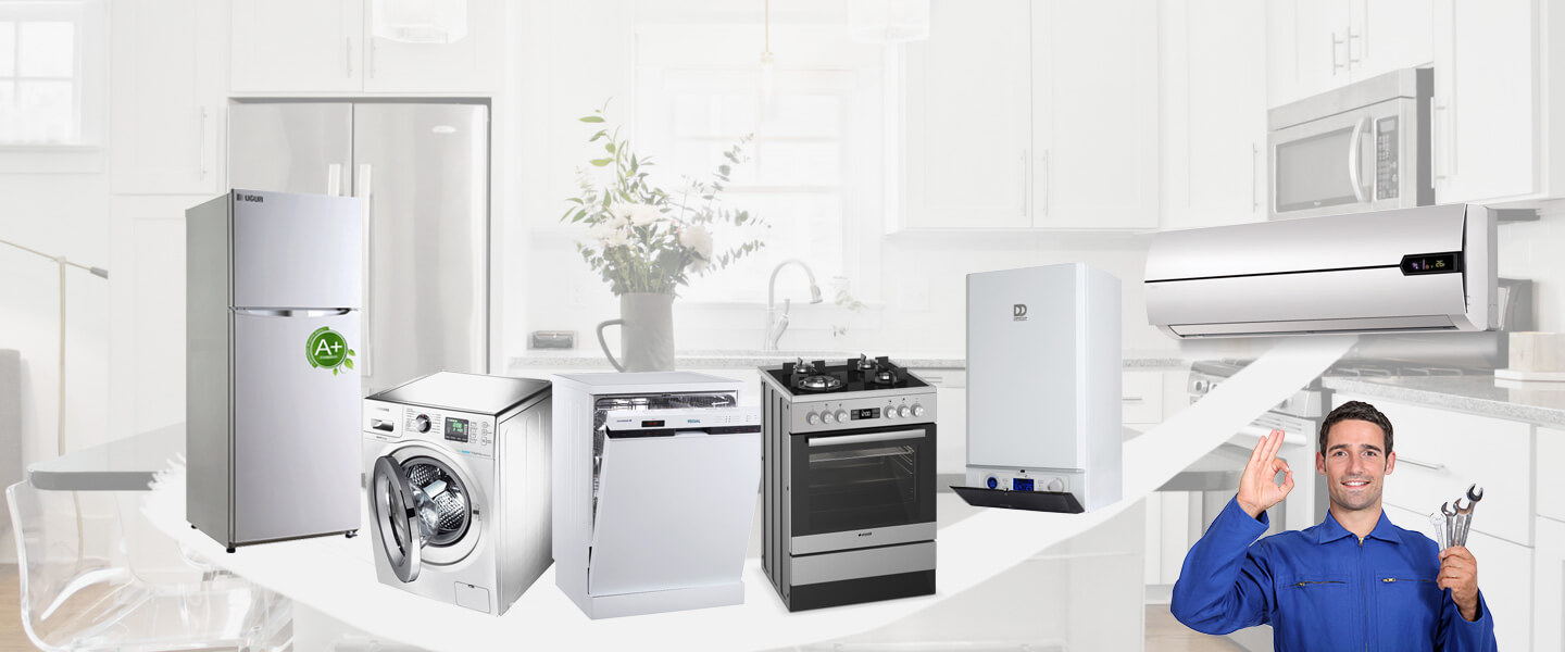 Arifiye Gorenje Servisi